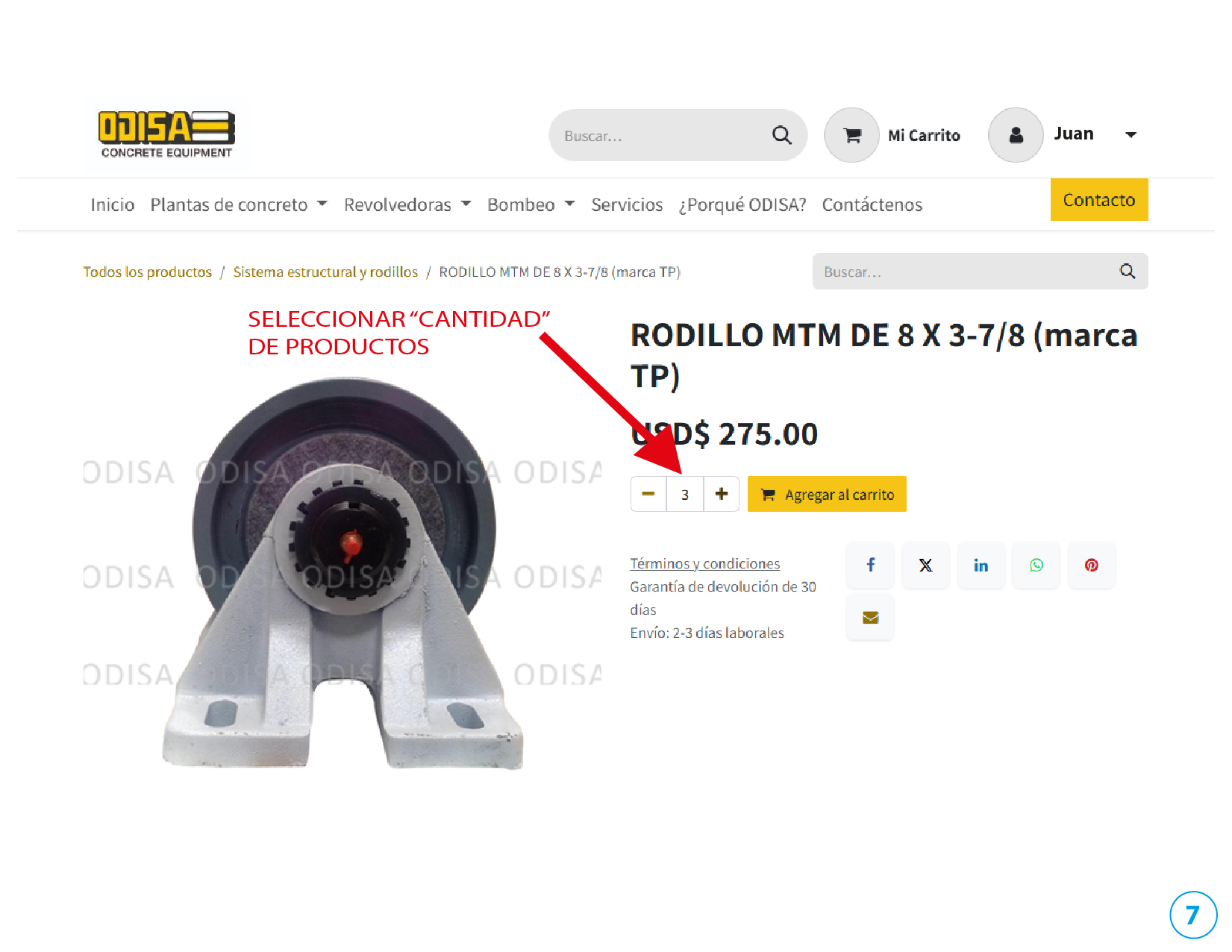 Imagen 7